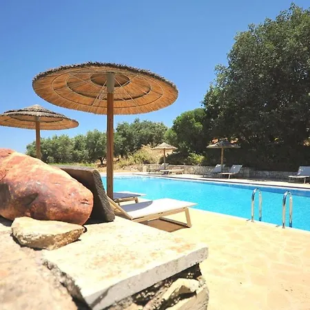 In Guest - Traditional For Relaxation And Rejuvenation Guest house