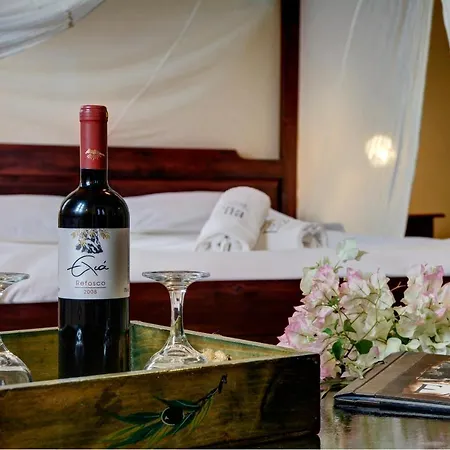 In Guest - Traditional For Relaxation And Rejuvenation *