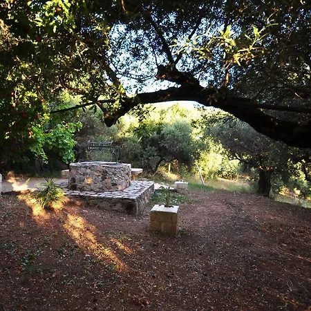 In Guest - Traditional For Relaxation And Rejuvenation Guest house